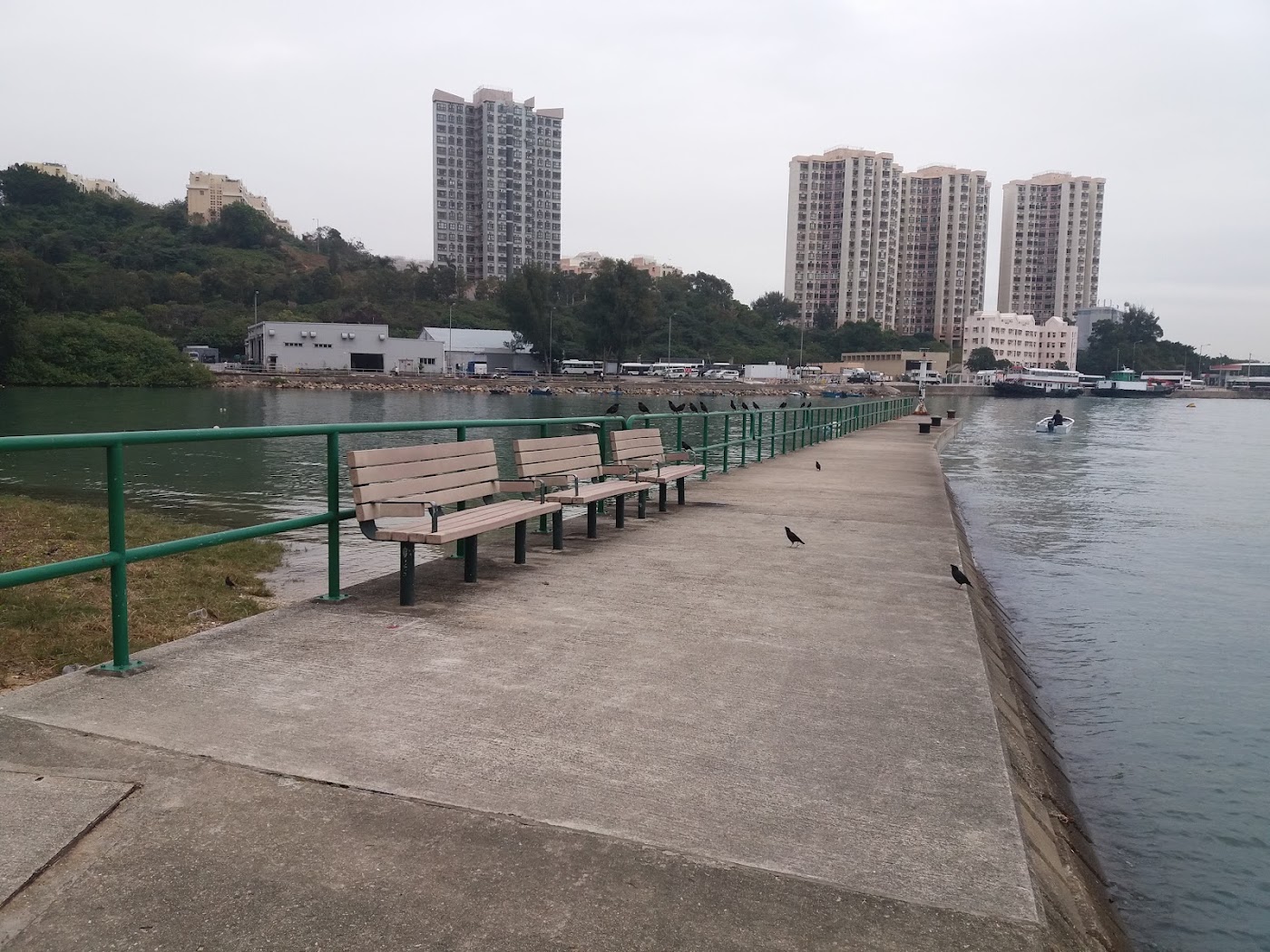 Nim Shue Wan