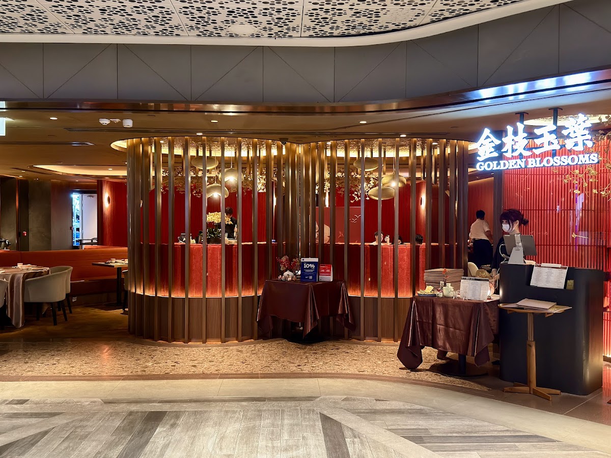 Golden Blossoms in Tsim Sha Tsui